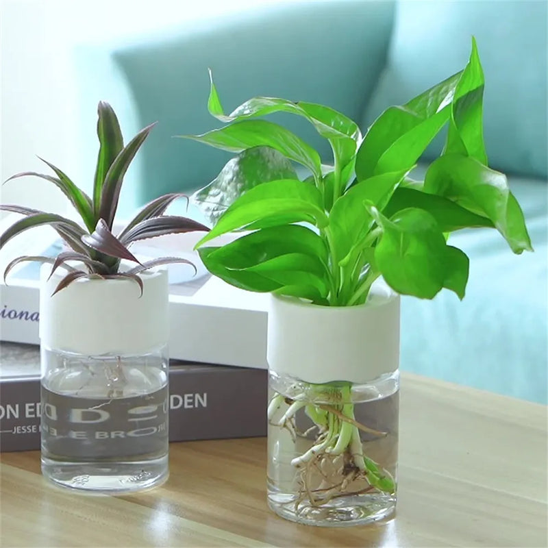 Mini Hydroponic Flower Pot Home Vase
