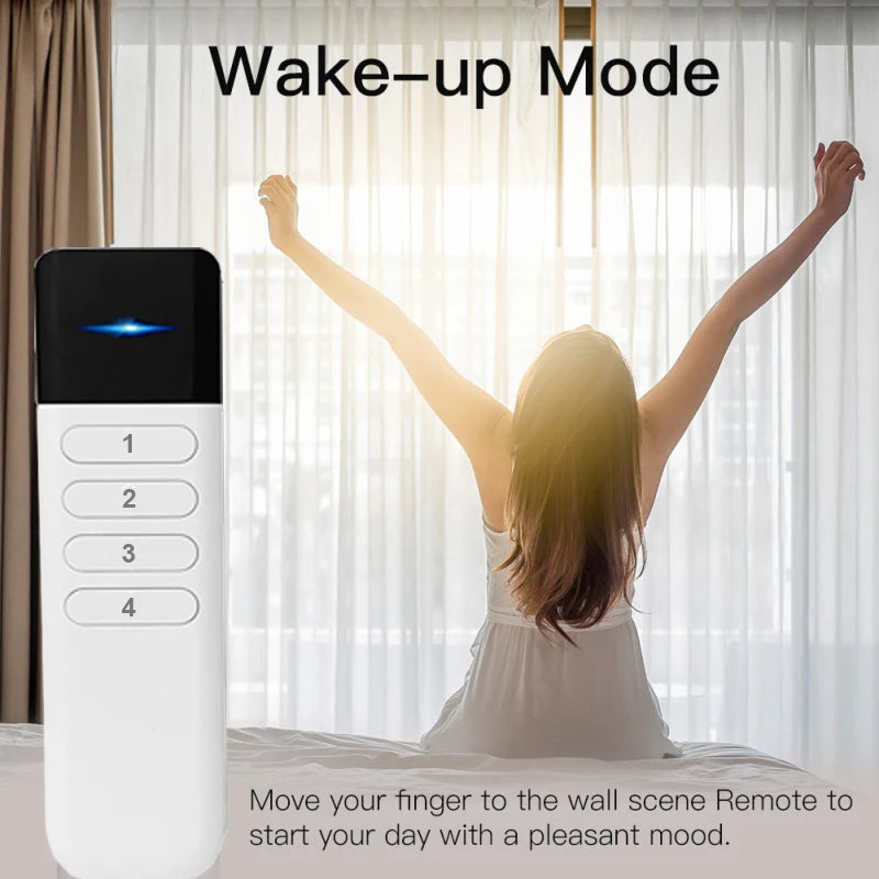4key Button Wireless Portable Remote Control