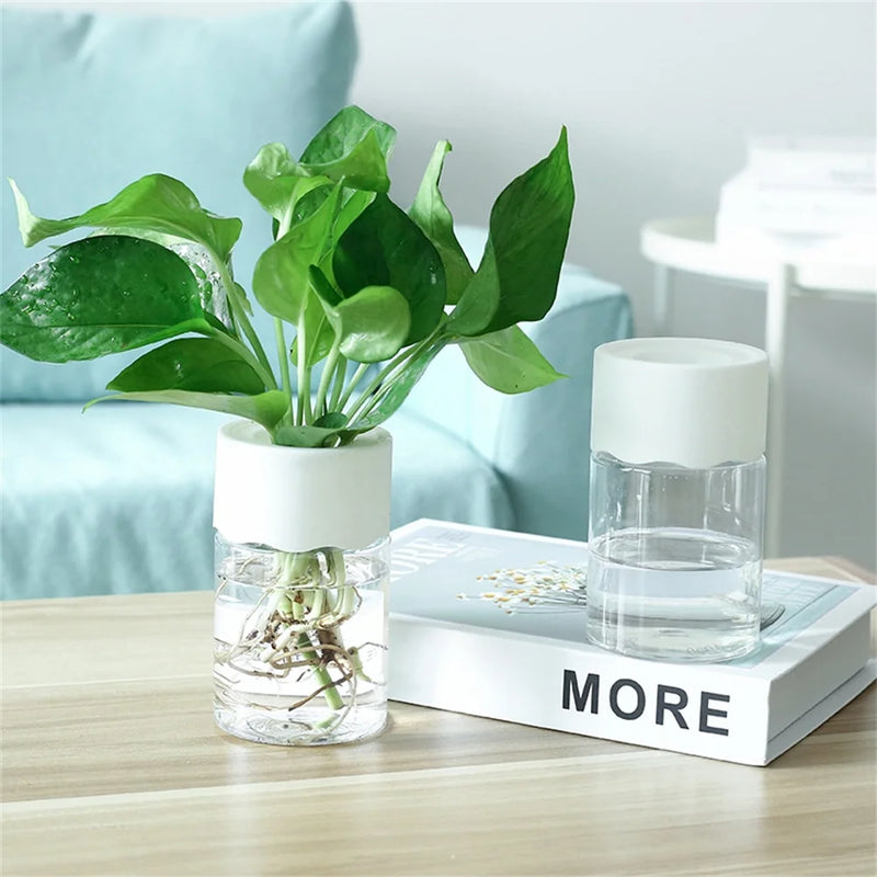 Mini Hydroponic Flower Pot Home Vase