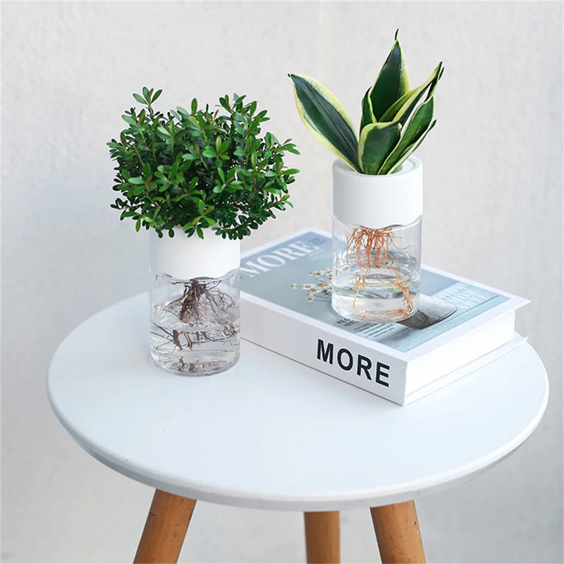 Mini Hydroponic Flower Pot Home Vase