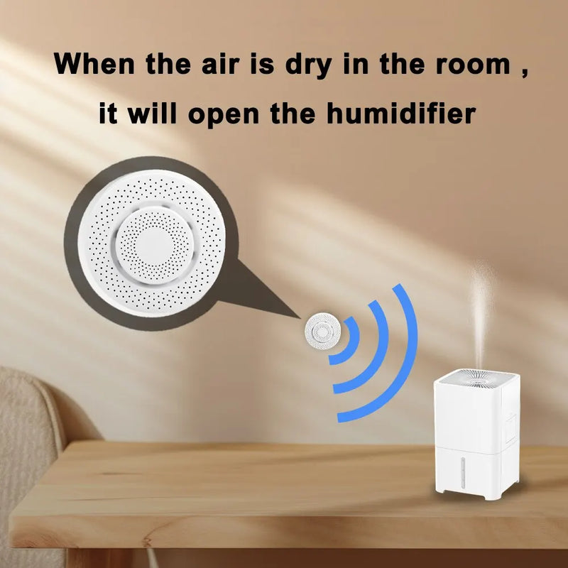 Smart Box Air Quality Monitor