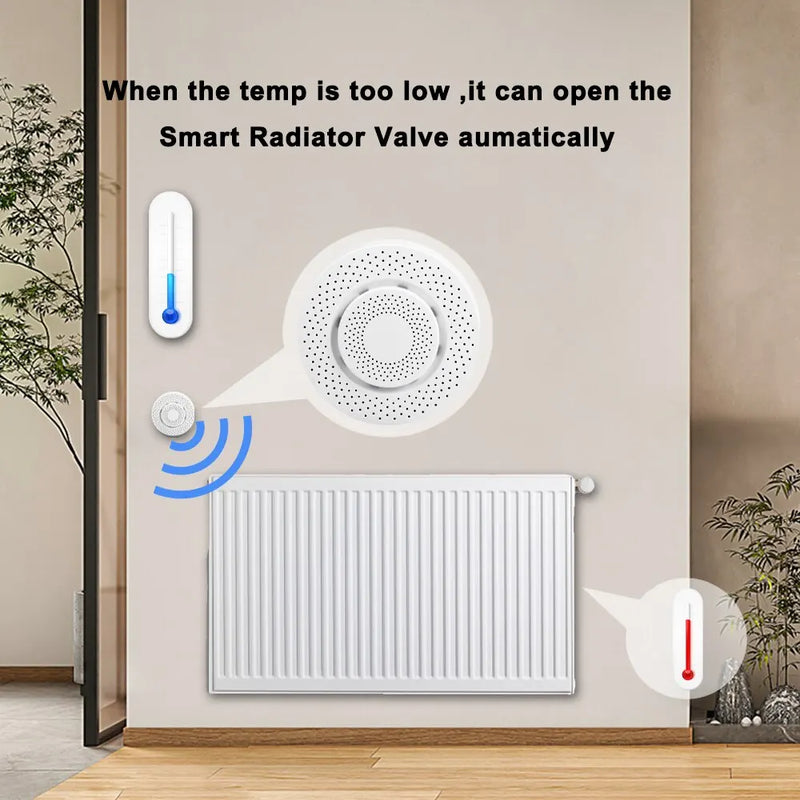 Smart Box Air Quality Monitor